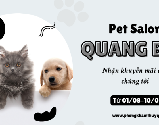Tiêu chí đánh giá phòng khám thú y Củ Chi tốt: Chăm sóc tận tâm cho thú cưng của bạn