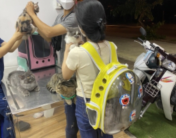 Cấp cứu 24/24 - Phòng Khám Thú Y Quang Bình