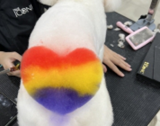 Pet Grooming