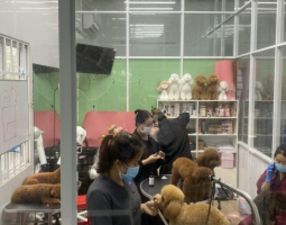 Quy trình kiểm tra sức khỏe định kỳ cho thú cưng